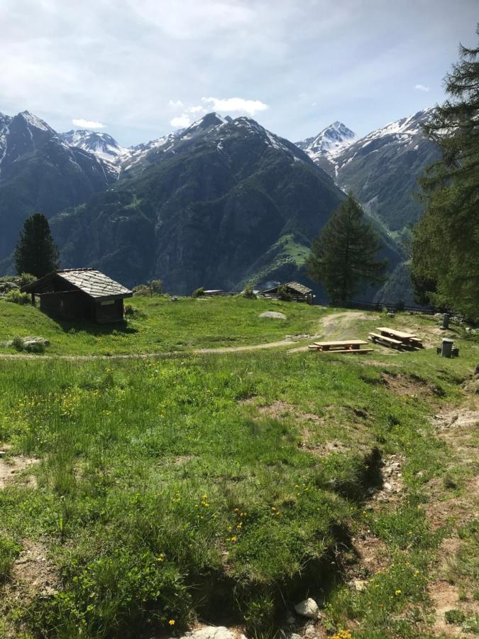 Ferienwohnung Edelweiss Grächen Eksteriør billede